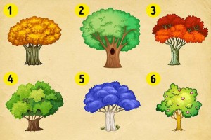 Chọn một loại cây để đoán điều gì đang chờ đợi bạn?