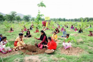 Ngôi làng trồng 111 cây xanh mỗi khi sinh một bé gái