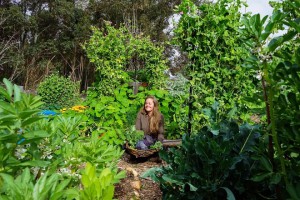 Thư từ Úc: Làm vườn giúp tôi kết nối lại với thiên nhiên