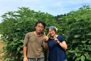 Half Farmer, Half X: Phong cách sống "nông dân nửa ngày" ở Nhật