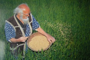 Masanobu Fukuoka - The Japanese Farmer with a Philosophy of Natural Agriculture