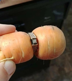 The most unique carrots in the world