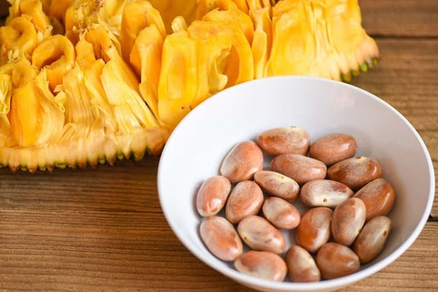 how to grow jackfruit from seed at home