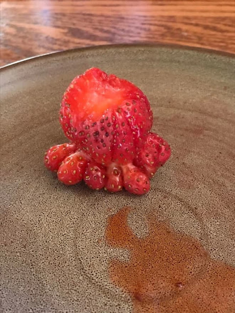 The strangest strawberries in the world 6 min (1)