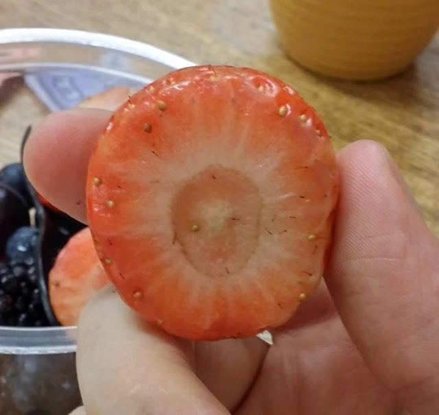 The strangest strawberries in the world 7 min (1)