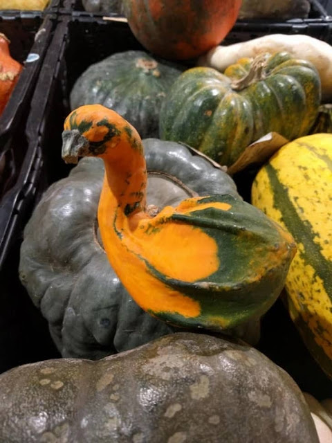 The vegetables and fruits that resemble birds 2