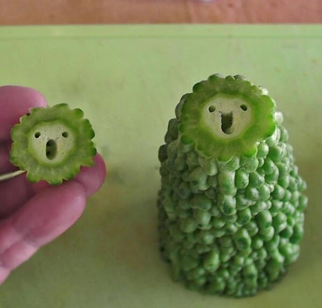 The Vegetables That Look Most Like Humans 4 min (1)